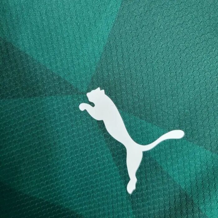 Mens Palmeiras 2023/24 Home Long Sleeve Jersey 6
