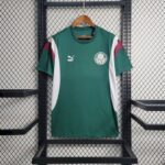 Mens Palmeiras 2023/24 Pre-Match Jersey 1