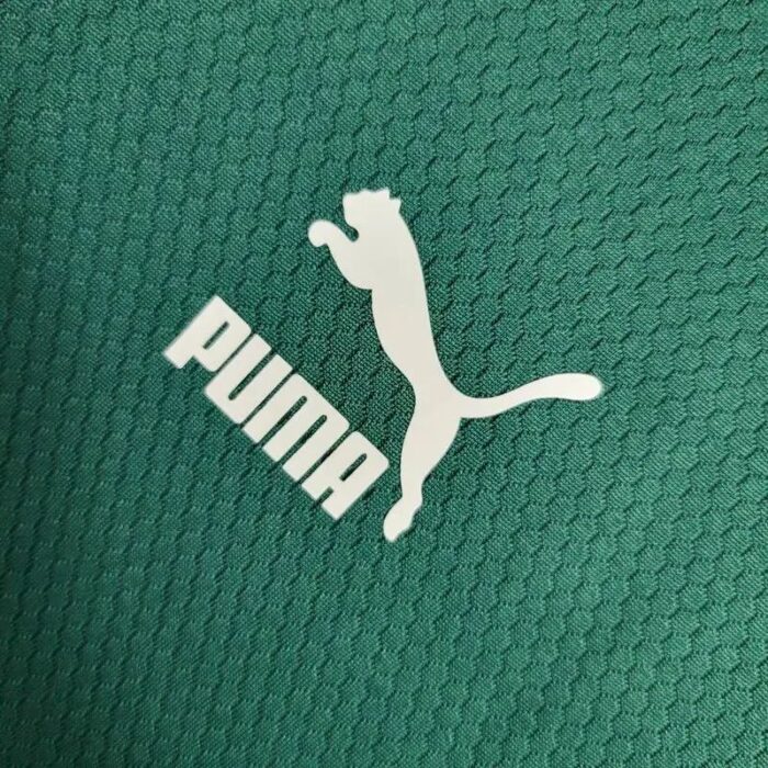 Mens Palmeiras 2023/24 Pre-Match Jersey 4