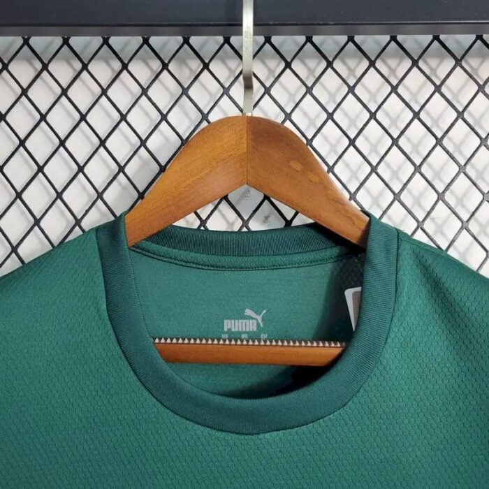 Mens Palmeiras 2023/24 Pre-Match Jersey 5