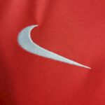 Mens Paris Saint-Germain 2023/24 Pre-Match Jersey 4