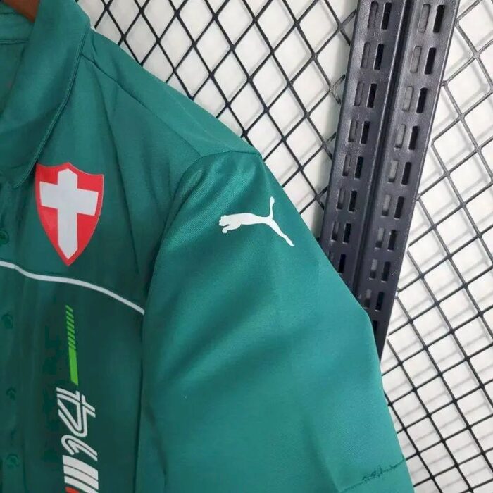 Mens Palmeiras 2023/24 Pre-Match Jersey Green 6