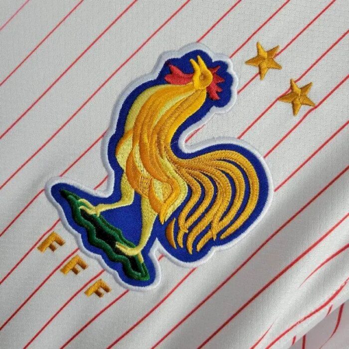 Mens France 2024/25 Away Jersey 2