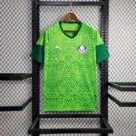 Mens Palmeiras 2024/25 Pre-Match Jersey 1