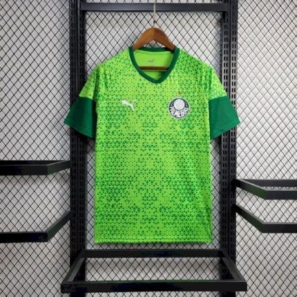 Mens Palmeiras 2024/25 Pre-Match Jersey 1