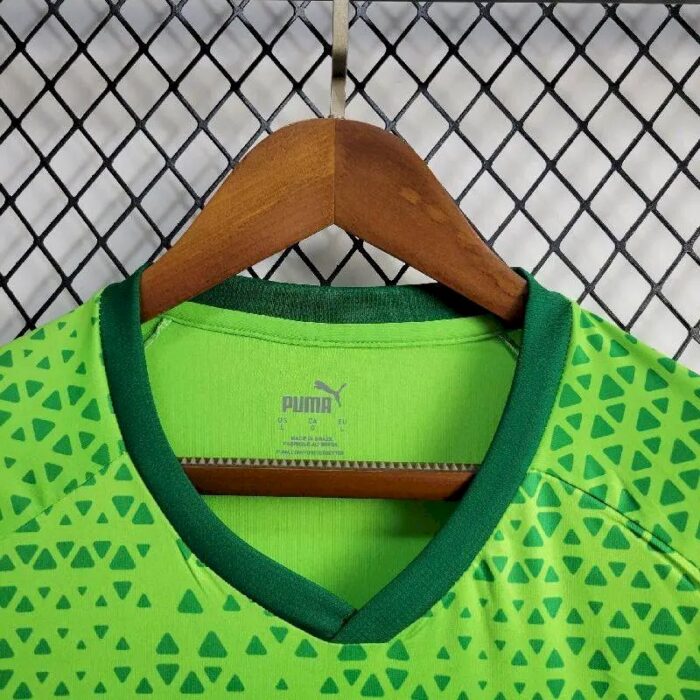 Mens Palmeiras 2024/25 Pre-Match Jersey 4