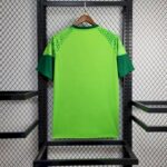 Mens Palmeiras 2024/25 Pre-Match Jersey 3