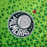 Mens Palmeiras 2024/25 Pre-Match Jersey 7