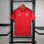 Mens Wales 2024/25 Away Jersey 1