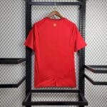 Mens Wales 2024/25 Away Jersey 8