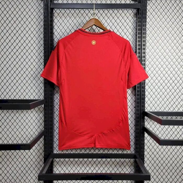 Mens Wales 2024/25 Away Jersey 8