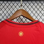 Mens Wales 2024/25 Away Jersey 7
