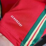 Mens Wales 2024/25 Away Jersey 5