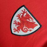 Mens Wales 2024/25 Away Jersey 4