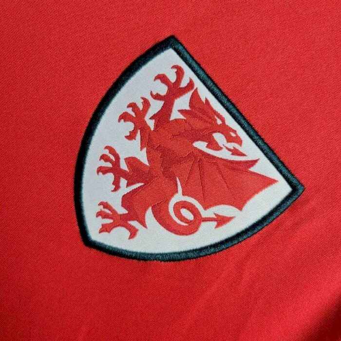Mens Wales 2024/25 Away Jersey 4
