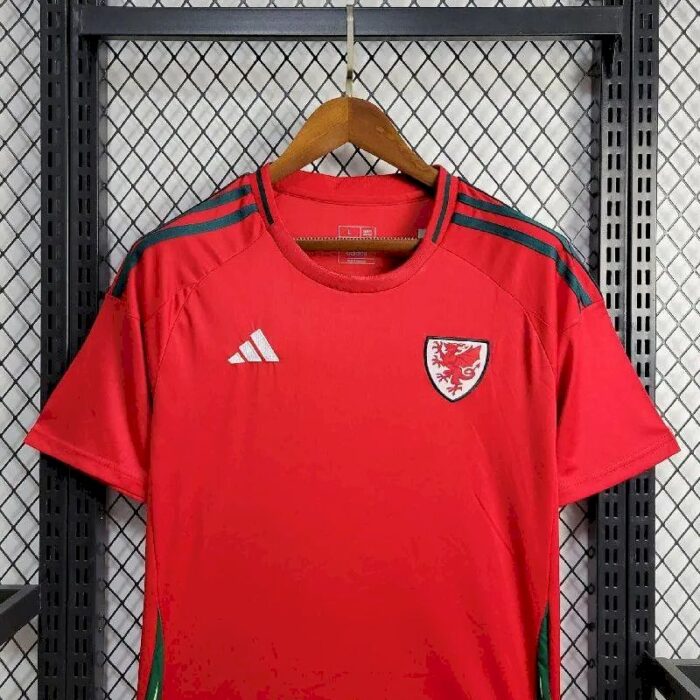Mens Wales 2024/25 Away Jersey 3