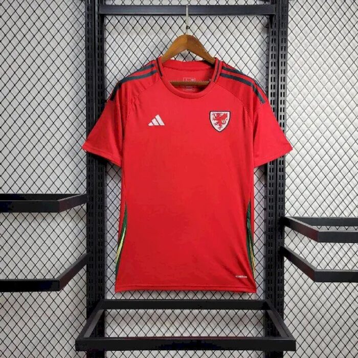 Mens Wales 2024/25 Away Jersey 1