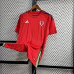 Mens Wales 2024/25 Away Jersey 9