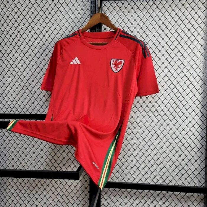 Mens Wales 2024/25 Away Jersey 9