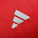 Mens Wales 2024/25 Away Jersey 2