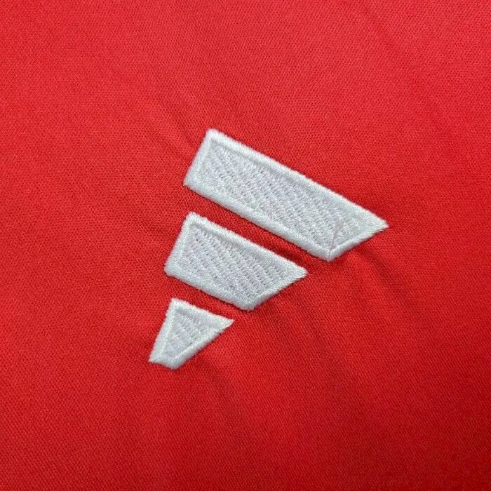 Mens Wales 2024/25 Away Jersey 2
