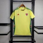 Mens Wales 2024/25 Home Jersey 1