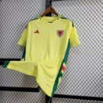 Mens Wales 2024/25 Home Jersey 9