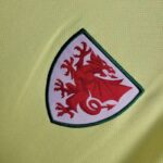 Mens Wales 2024/25 Home Jersey 7