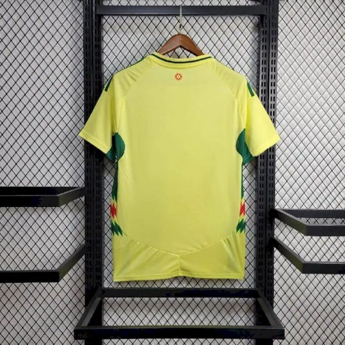 Mens Wales 2024/25 Home Jersey 5