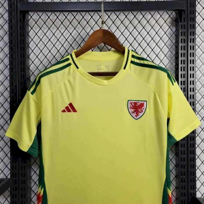 Mens Wales 2024/25 Home Jersey 6