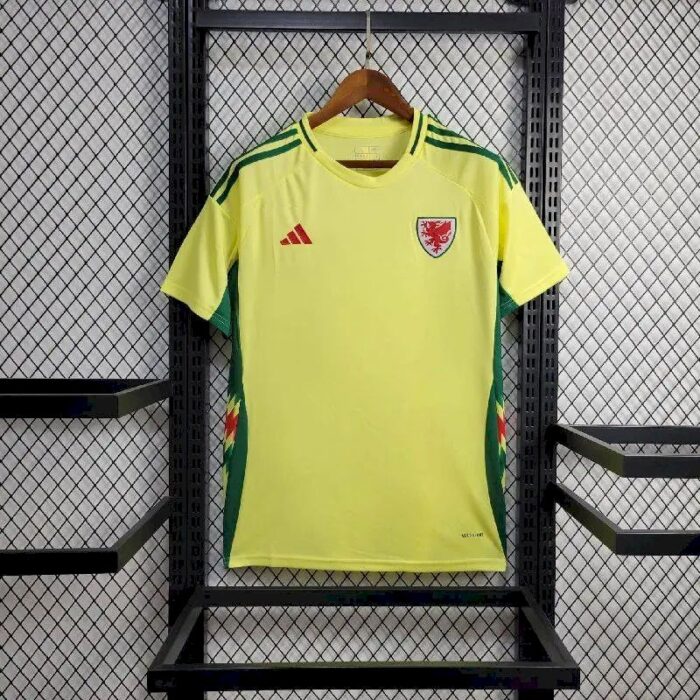 Mens Wales 2024/25 Home Jersey 1