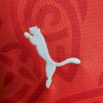 Mens Stade Rennais 2023/24 Home Jersey 9