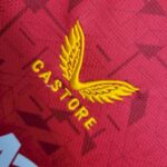Mens Wolves 2023/24 Away Jersey 7