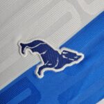 Mens Paysandu 2024/25 Home Jersey 9
