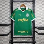 Mens Palmeiras 2024/25 Home Jersey 15