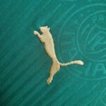 Mens Palmeiras 2024/25 Home Jersey 6