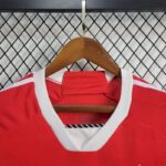 Mens Colo Colo 2024/25 Third Jersey 5