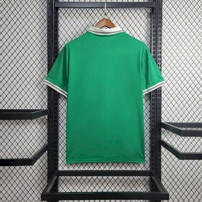 Mens Nigeria 2024/25 Green Jersey 8