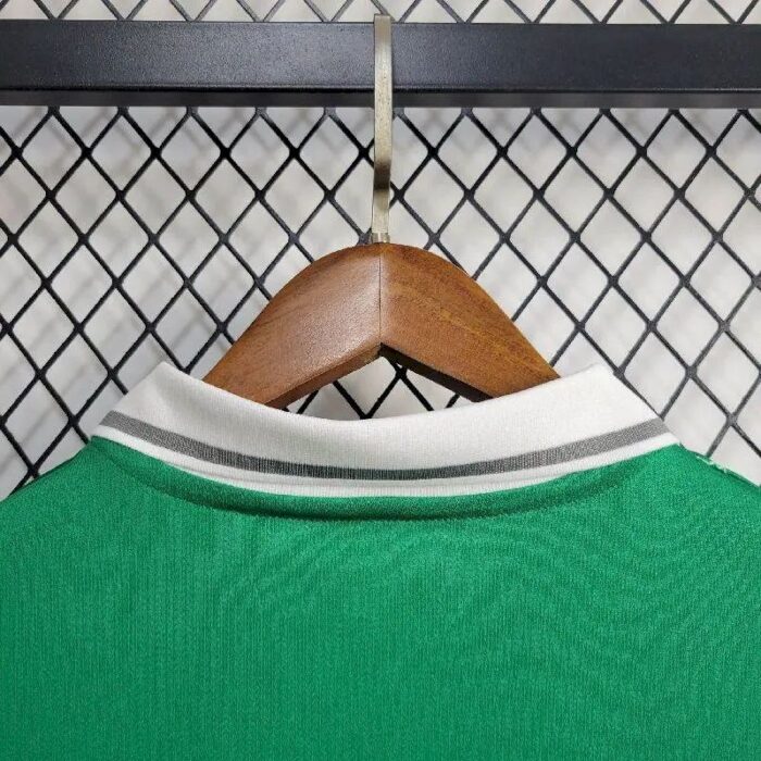 Mens Nigeria 2024/25 Green Jersey 3