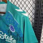 Mens Everton 2024/25 Limited Edition Jersey 6