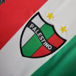 Mens CD Palestino 2024/25 Home Jersey 6