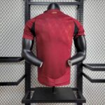 Mens Belgium 2024/25 Home Jersey Player Version 4