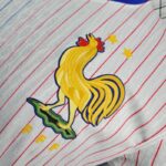 Mens France 2024/25 Away Jersey Player Version 5