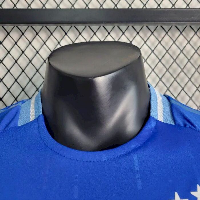 Mens Argentina 2024/25 Away Jersey Player Version 8