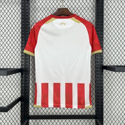 Mens Red Star Belgrade 2024/25 Home Jersey 1