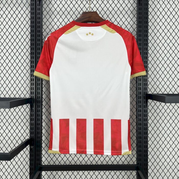 Mens Red Star Belgrade 2024/25 Home Jersey 1