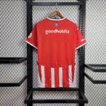 Mens PSV Eindhoven 2024/25 Home Jersey 1