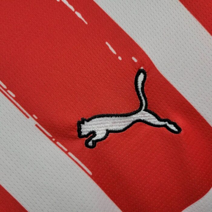 Mens PSV Eindhoven 2024/25 Home Jersey 2