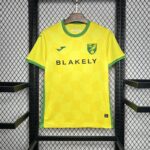 Mens Norwich City FC 2024/25 Home Jersey 3