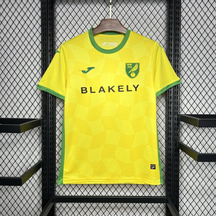 Mens Norwich City FC 2024/25 Home Jersey 3